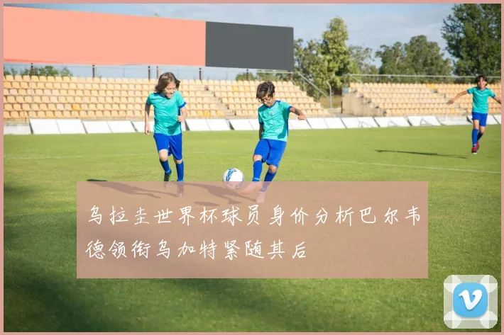 乌拉圭世界杯球员身价分析巴尔韦德领衔乌加特紧随其后
